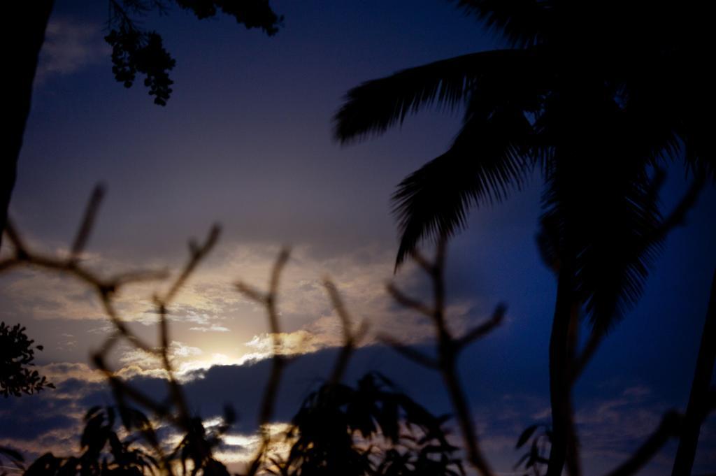 Duwa Villas Ahangama Oda fotoğraf